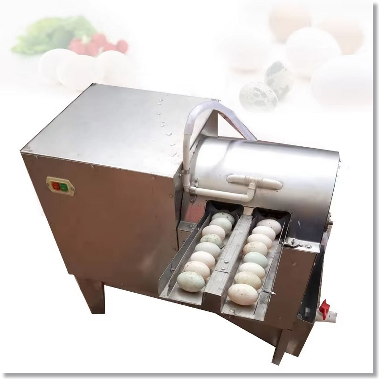 Small Electric Eggs Washing Cleaning Machine Goose Egg Cleaner Duck Egg Washer